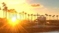 Sunset behind some palm trees